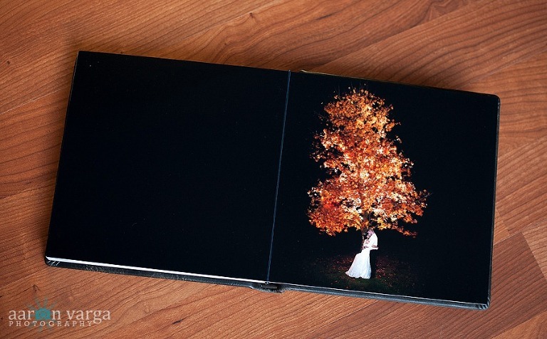 DSC 3184 thumb1(pp w768 h476) - Sample 10x10 Flush Mount Wedding Album