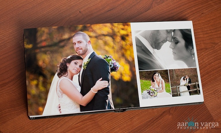 DSC 3187 thumb1(pp w768 h465) - Sample 10x10 Flush Mount Wedding Album