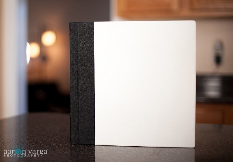 DSC 4178 thumb(pp w768 h536) - Sample 12x12 Flush Mount Wedding Album
