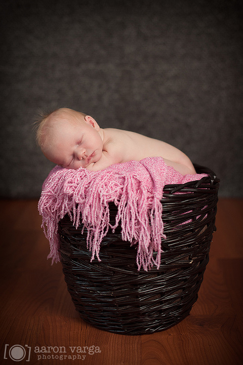 DSC 4365 Edit(pp w480 h721) - Kendall | Dormont Newborn Photographer
