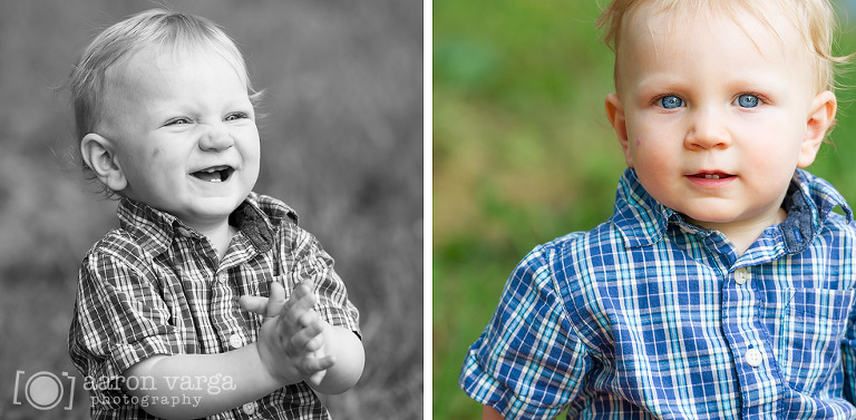 2(pp w768 h377) - Wyatt's One! | Pittsburgh Family Photographer