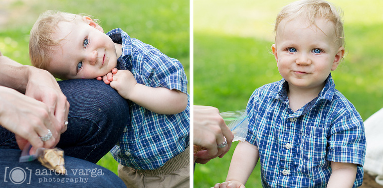 4(pp w768 h378) - Wyatt's One! | Pittsburgh Family Photographer
