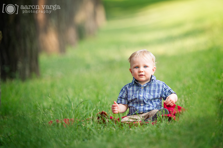 D3S 7670 Edit1(pp w768 h511) - Wyatt's One! | Pittsburgh Family Photographer
