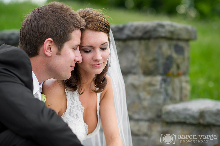 Mt Washington Pittsburgh 17(pp w768 h510) - Susan + Nathan | DoubleTree Hotel Meadowlands Wedding Photos