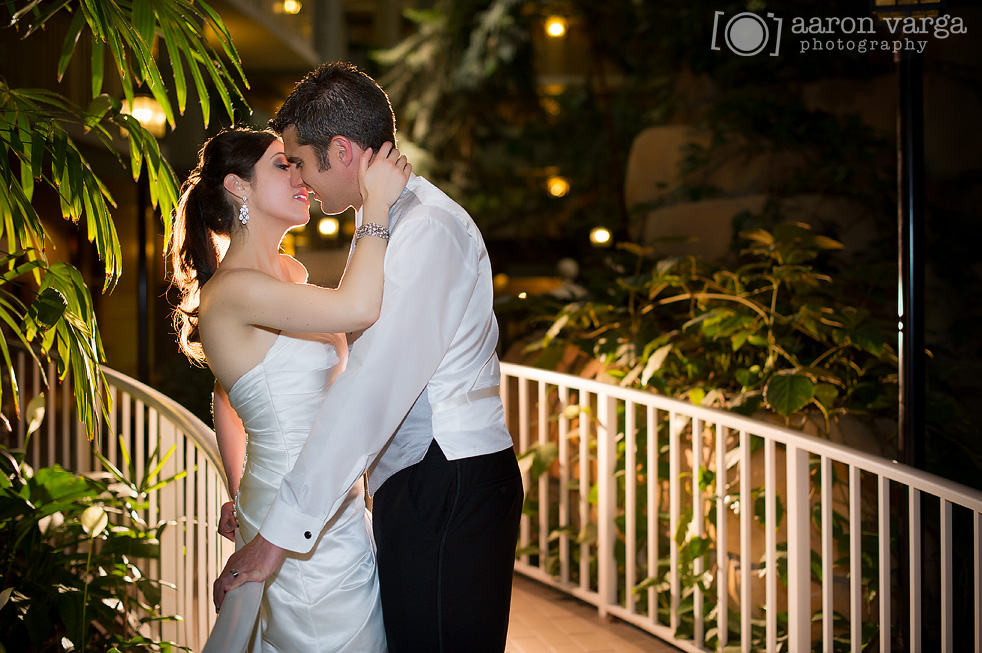 Embassy Suites Moon Wedding