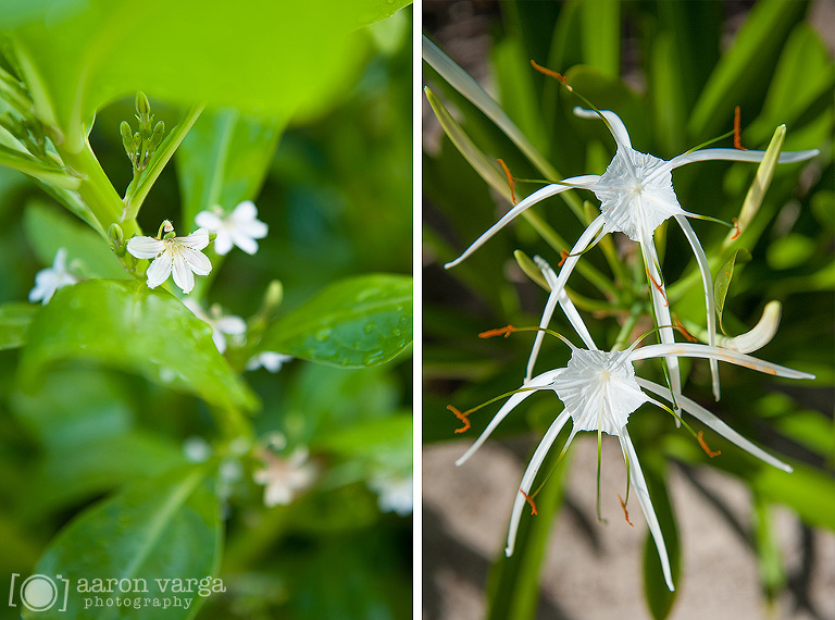 Riviera Maya Mexico Wedding Photographer 02(pp w768 h570) - Vanessa + Chris | Riviera Maya Day-After Wedding Portrait Session