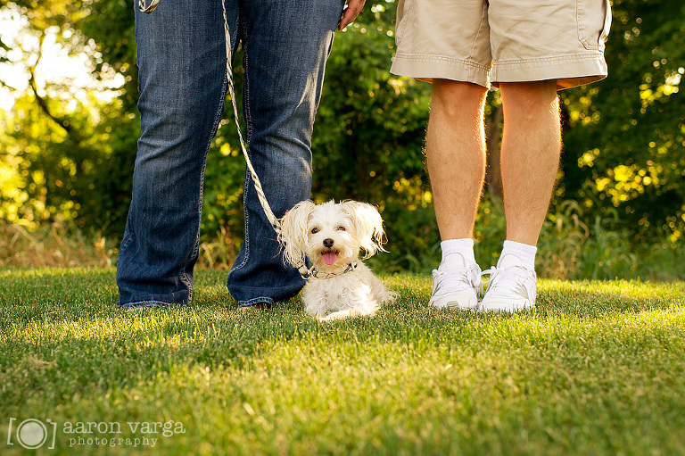 04 Pittsburgh Pet Photographer(pp w768 h511) - Layla | Pittsburgh Pet Photographer