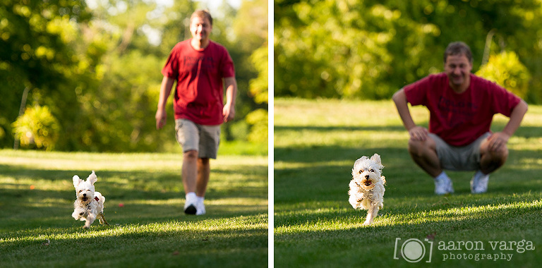 07 Pittsburgh Pet Photographer(pp w768 h380) - Layla | Pittsburgh Pet Photographer