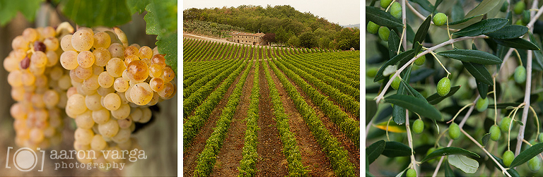 Italy 221(pp w768 h251) - Italy