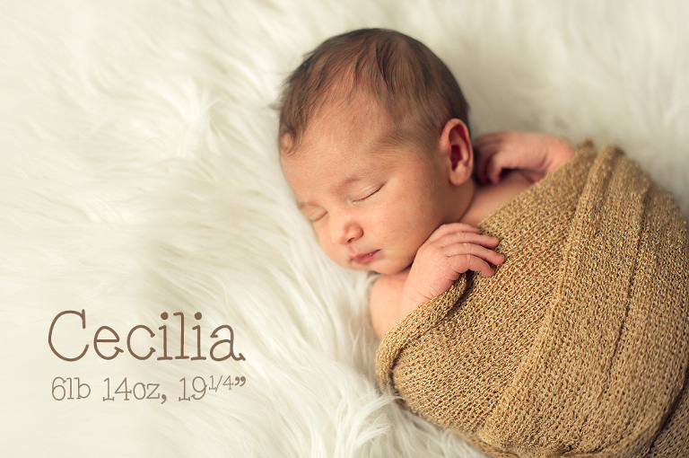 01 Cranberry Newborn Photographer2(pp w768 h510) - Baby Cecilia | Cranberry Newborn Photographer