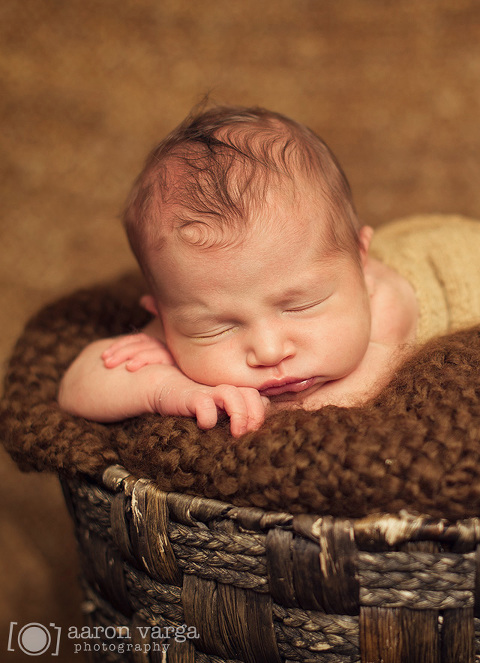 06 Cranberry Newborn Photographer2(pp w480 h663) - Baby Cecilia | Cranberry Newborn Photographer