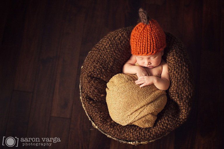 08 Cranberry Newborn Photographer1(pp w768 h511) - Baby Cecilia | Cranberry Newborn Photographer