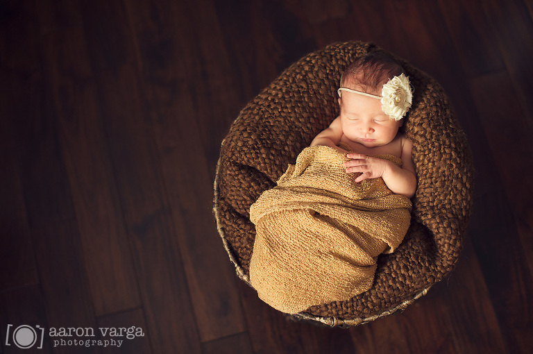10 Cranberry Newborn Photographer1(pp w768 h510) - Baby Cecilia | Cranberry Newborn Photographer