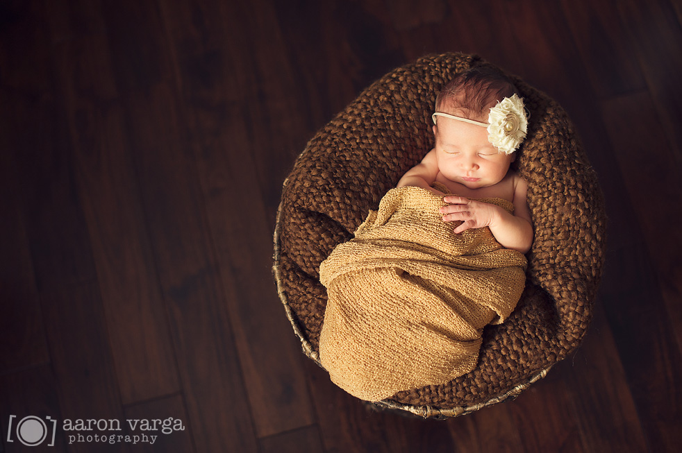 Cranberry Newborn Photographer