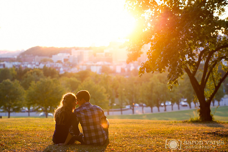 02 Schenley Park Sunset Engagement(pp w768 h510) - 2012: Year in Review