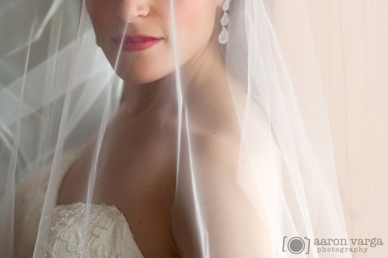 08 Winter Wedding Bridal Portrait(pp w768 h511) - Jessica + Dave | Lodge at Welch Allyn Wedding Photos