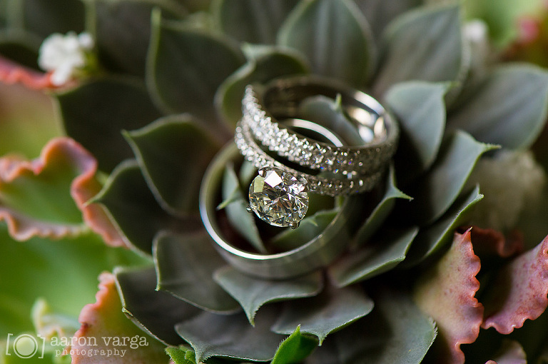 15 Wedding Rings in Succulents(pp w768 h510) - Best of 2012: Rings
