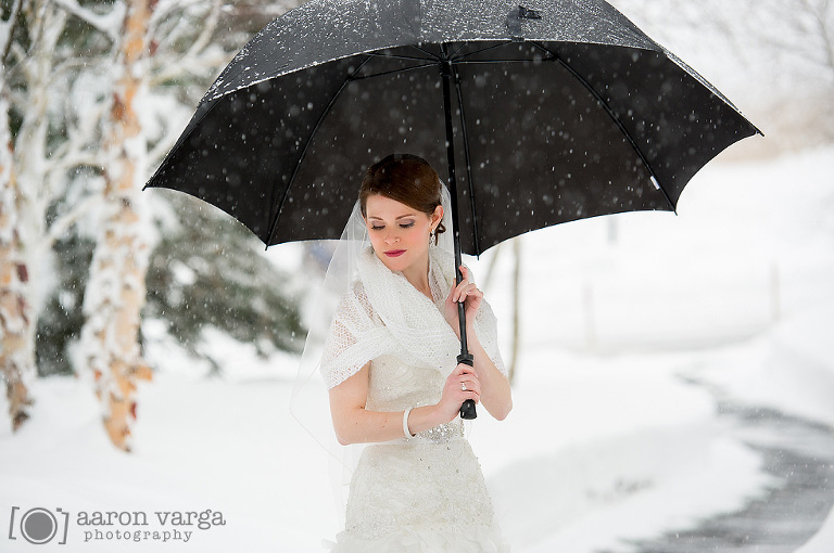 17 Winter Wedding Bridal Portrait1(pp w768 h510) - Jessica + Dave | Lodge at Welch Allyn Wedding Photos