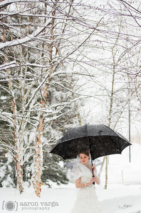 18 Winter Wedding Bridal Portrait(pp w480 h721) - Jessica + Dave | Lodge at Welch Allyn Wedding Photos