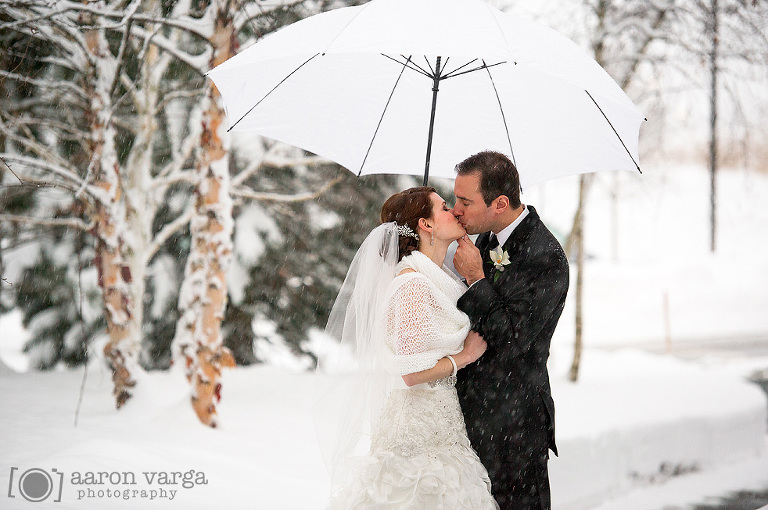 20 Winter Wedding Snowy Portrait(pp w768 h510) - Jessica + Dave | Lodge at Welch Allyn Wedding Photos