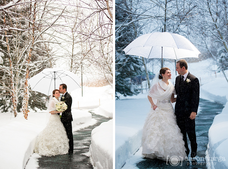 21 Winter Wedding Snowy Portrait(pp w768 h570) - Jessica + Dave | Lodge at Welch Allyn Wedding Photos