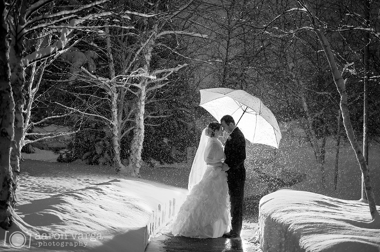 23 Winter Wedding Snowy Portrait(pp w768 h510) - Jessica + Dave | Lodge at Welch Allyn Wedding Photos