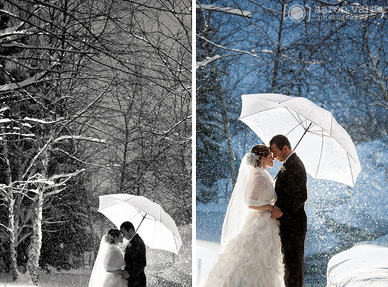 24 Winter Wedding Snowy Portrait(pp w768 h570) - Jessica + Dave | Lodge at Welch Allyn Wedding Photos