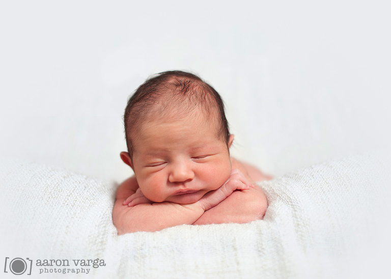 27 Photo Pittsburgh Newborn Photo(pp w768 h548) - 2012: Year in Review