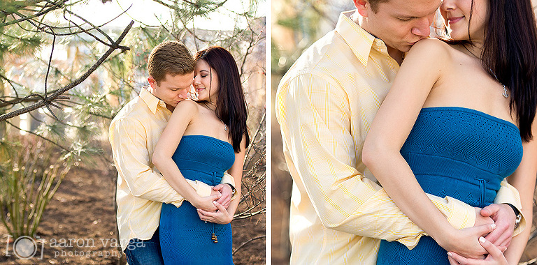 25 Sweet Engagement Photos Pittsburgh(pp w768 h380) - Sam + Andy | North Shore Engagement Photos