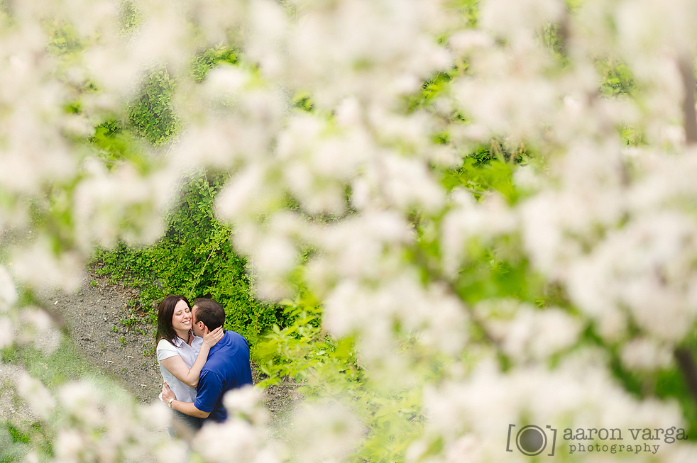 Spring Engagement in Pittsburgh