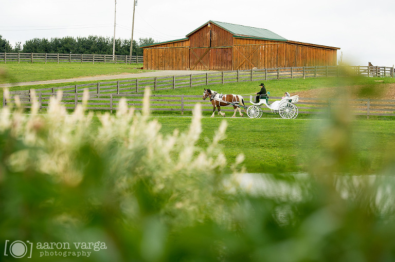 19 horse carriage ceremony entrance wedding(pp w768 h510) - Sam + Andy | Lingrow Farm Wedding Photos