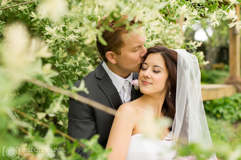 29 bride groom portrait in tree(pp w768 h510) - Sam + Andy | Lingrow Farm Wedding Photos