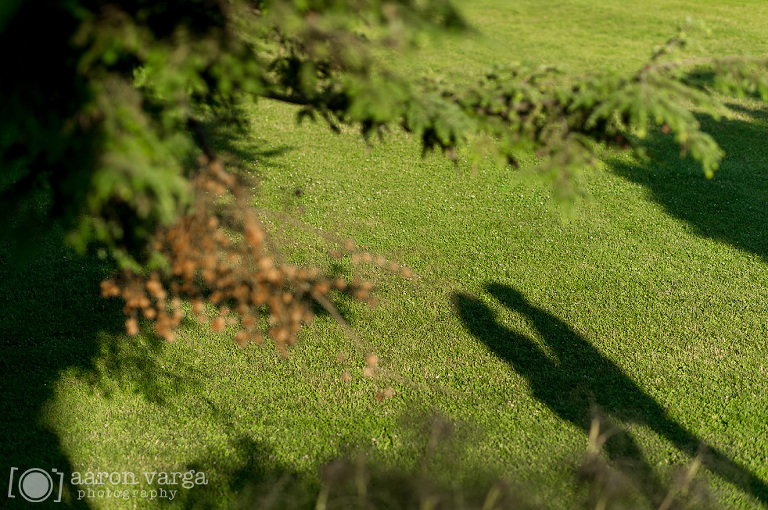 13 Hartwood Acres Mansion Glenshaw photographer(pp w768 h510) - Micaela + Mike | Hartwood Acres Mansion Engagement Photos