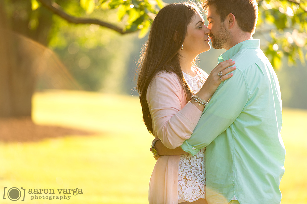 Engagement photos at sunset Pittsburgh