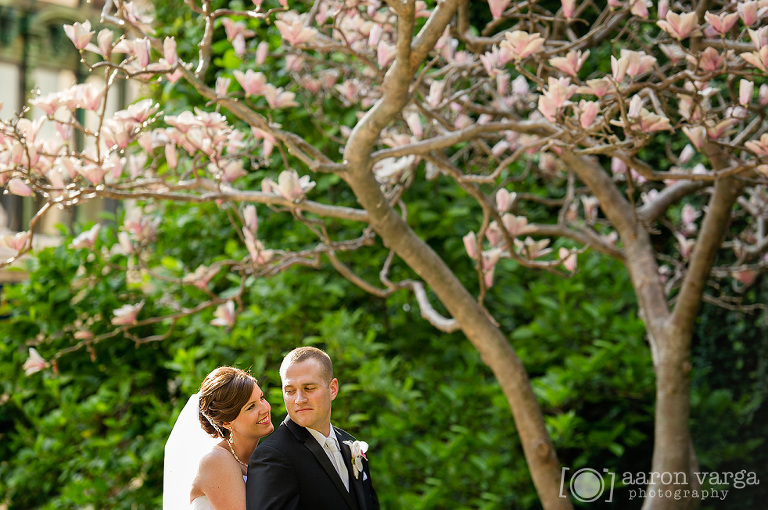 32 Magnolia tree downtown Pittsburgh(pp w768 h510) - Molly + Dan | Fairmont Hotel Wedding Pittsburgh Photos