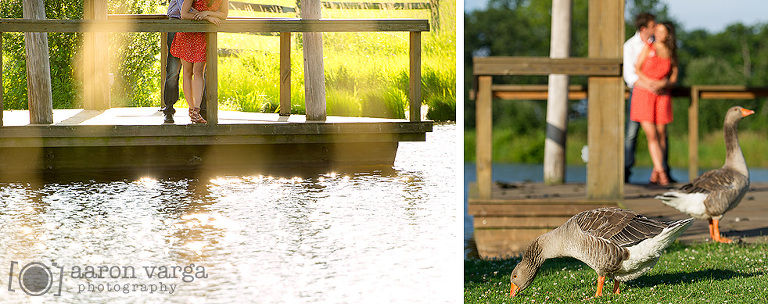03 Dock lake with ducks(pp w768 h304) - Alyse + James | Armstrong Farms Engagement Photos