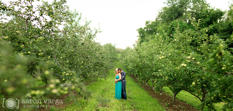 06 Brenizer Method panorama engagement(pp w768 h368) - Shannon + Adam | Apple Orchard Engagement Photos