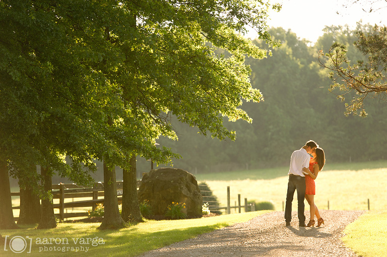 08 Summer country road engagement(pp w768 h510) - Alyse + James | Armstrong Farms Engagement Photos
