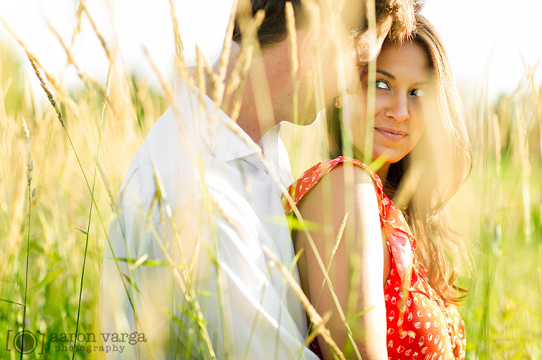 12 Summer field(pp w768 h510) - Alyse + James | Armstrong Farms Engagement Photos
