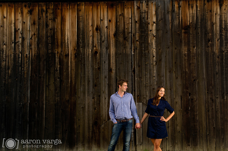 32 Off camera lighting barn(pp w768 h510) - Alyse + James | Armstrong Farms Engagement Photos