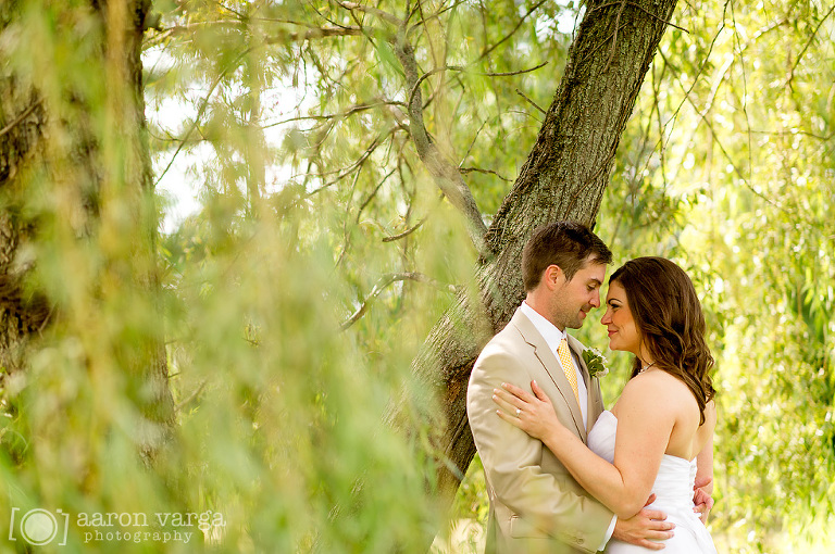 22 willow tree wedding(pp w768 h510) - Succop Conservancy Wedding