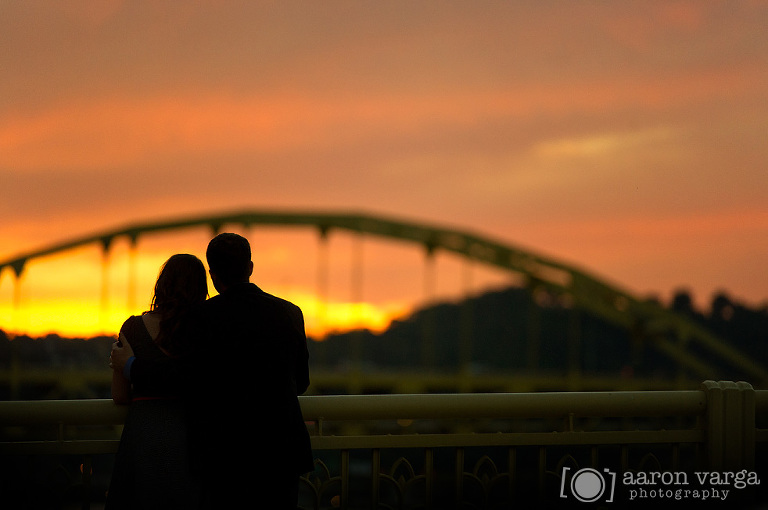 21 pittsburgh sunset(pp w768 h510) - Phipps Conservatory Engagement