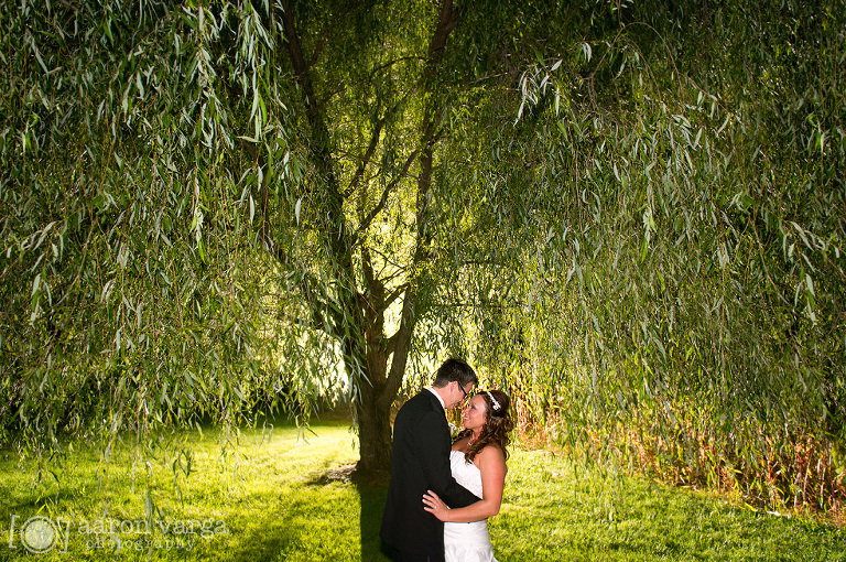 37 weeping willow off camera flash(pp w768 h510) - Brittney + Mike | Burgettstown Wedding Photos