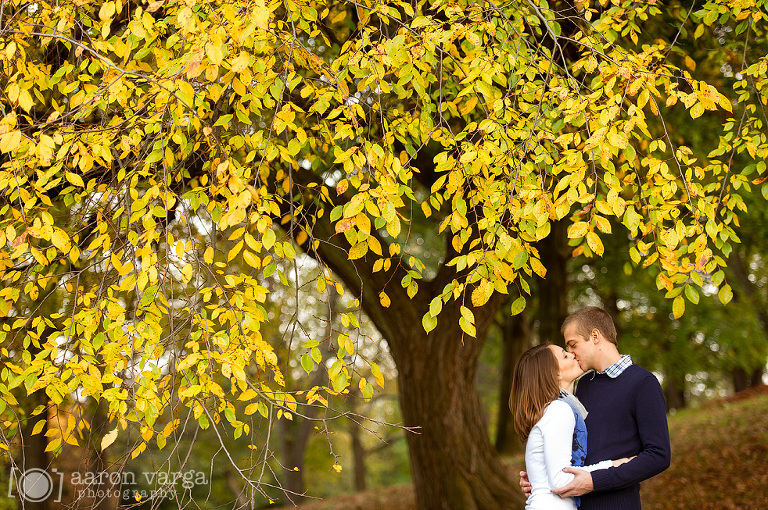 11 grandview park engagement(pp w768 h510) - Emilie + Mike | Mt. Washington Engagement Photos
