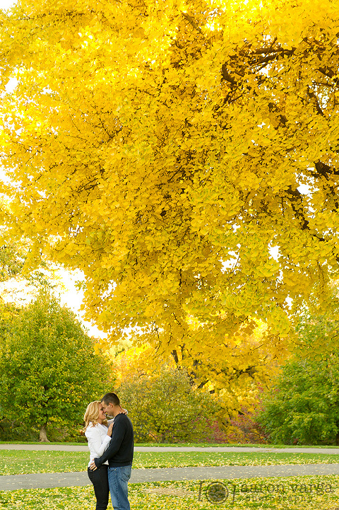 16 fall portrait session(pp w480 h721) - Jennifer + Paul | Mellon Park Engagement Photos