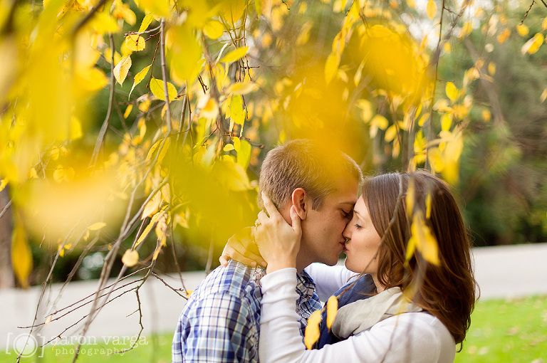 17 fall yellow trees engagement(pp w768 h510) - Emilie + Mike | Mt. Washington Engagement Photos