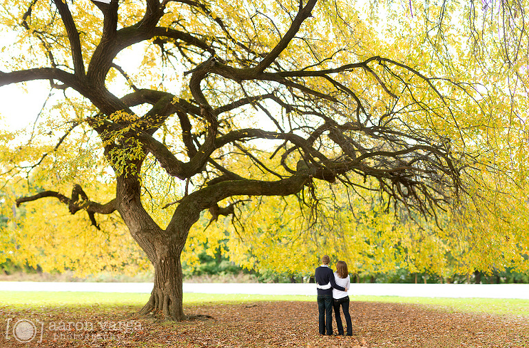 18 brenizer method engagement(pp w768 h505) - Emilie + Mike | Mt. Washington Engagement Photos