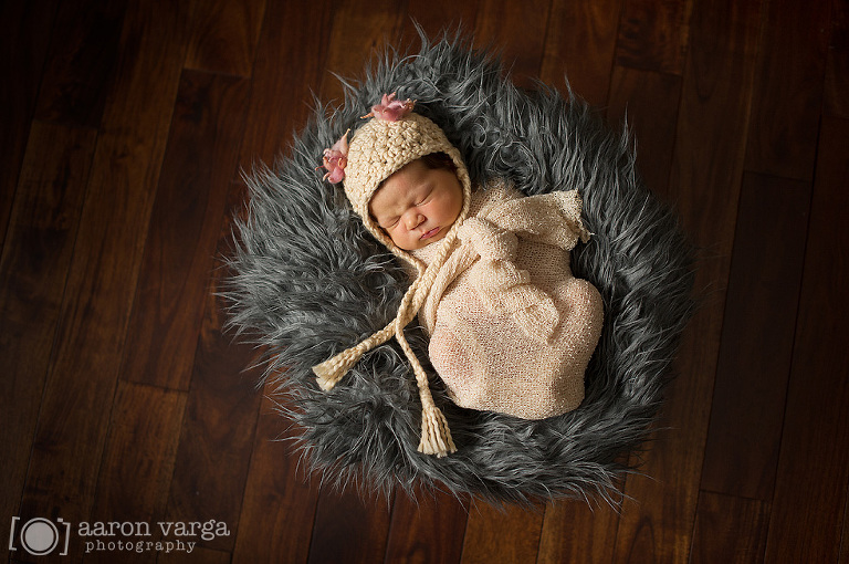 19 pittsburgh newborn photographers(pp w768 h510) - 2013: Year in Review