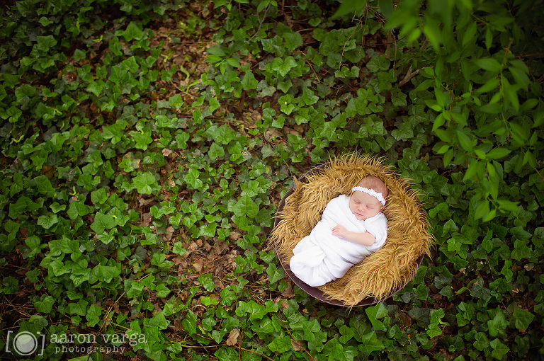 30 newborn photographers(pp w768 h510) - 2013: Year in Review
