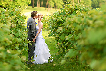 vineyardwedding - Reviews